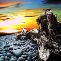 Buy canvas prints of Driftwood in the Sunset#1 by Pete Moyes