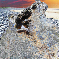 Buy canvas prints of Driftwood in the Sunset#2 by Pete Moyes