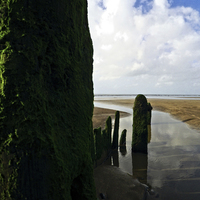 Buy canvas prints of Groynes on the Beach #2 by Pete Moyes