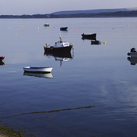 Buy canvas prints of At Rest in the Torridge by Pete Moyes
