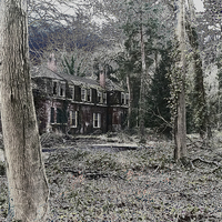 Buy canvas prints of Haunted by Pete Moyes
