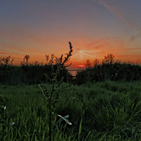 Buy canvas prints of Sunset over the Meadow by Pete Moyes