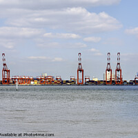 Buy canvas prints of Liverpools Liverpool2 Container Port  by Frank Irwin