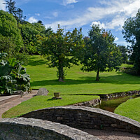 Buy canvas prints of Lovely grounds of Cockington Estate  by Frank Irwin