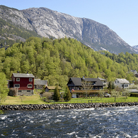 Buy canvas prints of Norwegian Fjords by Frank Irwin