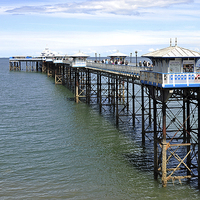 Buy canvas prints of The famous Victorian Pier by Frank Irwin
