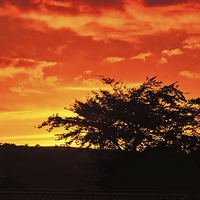 Buy canvas prints of Welsh Sunset by Frank Irwin