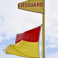 Buy canvas prints of A beach Lifeguard flag by Frank Irwin