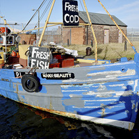Buy canvas prints of Brightly painted fishing boat by Frank Irwin