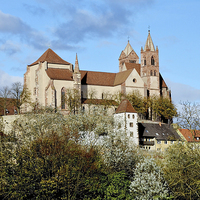 Buy canvas prints of St. Stephans Cathedral in Breisach. by Frank Irwin