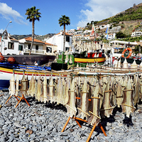 Buy canvas prints of A fishing village in Ponto do Sol in Madeira by Frank Irwin
