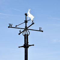 Buy canvas prints of A traditional weather vane by Frank Irwin