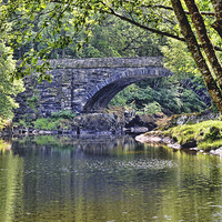 Buy canvas prints of An ‘out of the way’ bridge by Betws-y-Coed by Frank Irwin