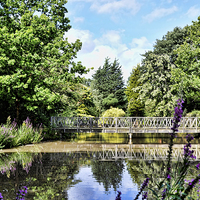 Buy canvas prints of A secluded lake in Birkenhead Park by Frank Irwin