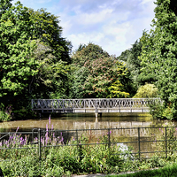 Buy canvas prints of A secluded lake in Birkenhead Park by Frank Irwin