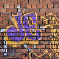 Buy canvas prints of A  Sample of wall bound graffiti by Frank Irwin