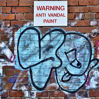 Buy canvas prints of Wall bound graffiti (Does the paint work?) by Frank Irwin