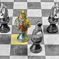 Buy canvas prints of A King from a medieval chess set on a conventional by Frank Irwin