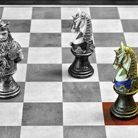 Buy canvas prints of A Knight from a medieval chess set on a convention by Frank Irwin