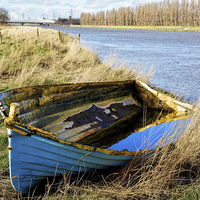 Buy canvas prints of An old boat dying alongside the River Dee. by Frank Irwin