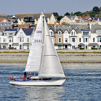 Buy canvas prints of A small yacht sailing slowly along the River Conwy by Frank Irwin