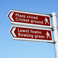 Buy canvas prints of Multi-Lingual sports sign against a blue sky by Frank Irwin