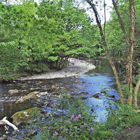 Buy canvas prints of A quiet rural river section by Frank Irwin