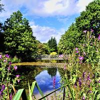 Buy canvas prints of One of the many bridges in Birkenhead Park, Wirral by Frank Irwin