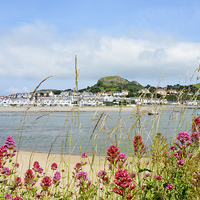 Buy canvas prints of Across the river is Deganwy by Frank Irwin