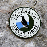 Buy canvas prints of The Great Orme Country park logo by Frank Irwin