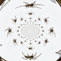 Buy canvas prints of   Arachnophobia a go-go by Frank Irwin