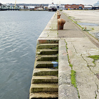 Buy canvas prints of  Steps down to the dock water. by Frank Irwin