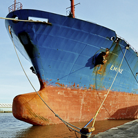 Buy canvas prints of  MV Emine off-loading in Birkenhead Docks, by Frank Irwin