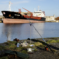 Buy canvas prints of  Stolt Razorbill loading in Birkenhead Docks. by Frank Irwin