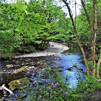 Buy canvas prints of  The River Llugwy at Betws-y-Coed by Frank Irwin