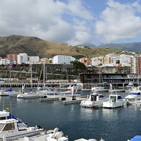 Buy canvas prints of  A marina in Funchal by Frank Irwin