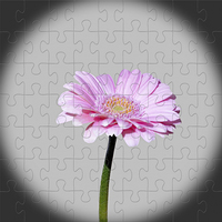 Buy canvas prints of Gerbera as a jig-saw puzzle by Frank Irwin
