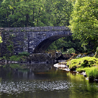 Buy canvas prints of  Picturesque bridge setting, Nr. Betws-y-Coed by Frank Irwin