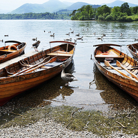 Buy canvas prints of  Rowing boats for hire on Derwentwater by Frank Irwin
