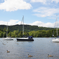 Buy canvas prints of  Yachts lie at anchor on Windermere by Frank Irwin
