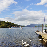 Buy canvas prints of  A cruise boat sails along Windermere by Frank Irwin