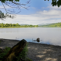 Buy canvas prints of  Esthwaite Water, Lake District, UK by Frank Irwin