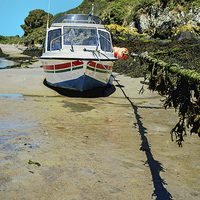 Buy canvas prints of  A small motorboat tied up in Porthclais harbour by Frank Irwin