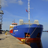 Buy canvas prints of MV Richilieu unloading her cargo in Birkenhead Doc by Frank Irwin