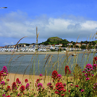 Buy canvas prints of  Deganwy from across the river in Conway by Frank Irwin