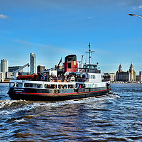 Buy canvas prints of Royal Daffodil departing Seacombe for Liverpool by Frank Irwin