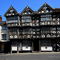 Buy canvas prints of The Feathers Hotel, Ludlow by Frank Irwin