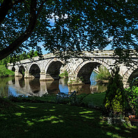 Buy canvas prints of The now disused Atcham Bridge by Frank Irwin