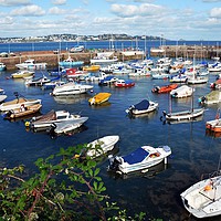 Buy canvas prints of The serene, sunblessed Paignton Harbour by Frank Irwin