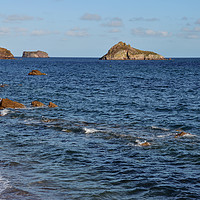 Buy canvas prints of The view from Meadfoot beach, Torquay by Frank Irwin